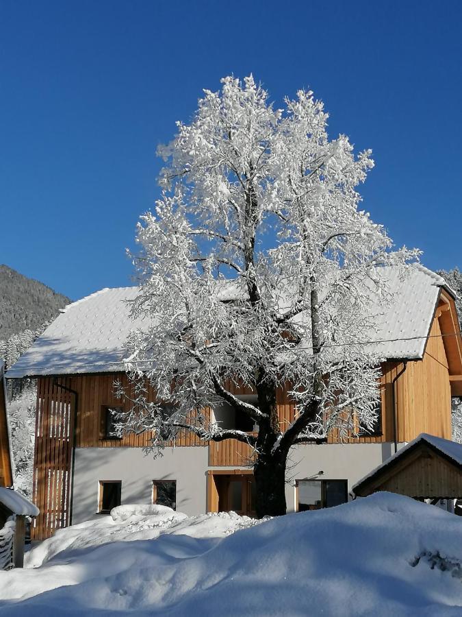 Apartments Gorski Raj Kranjska Gora Exterior photo